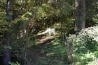 Parcour Bild 13