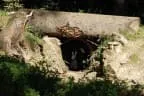 Parcour Bild 0
