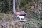 Parcourabbau 2011 Bild 6