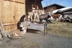 Beautyfarm Bild 10