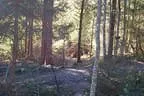 Parcours 2013 Bild 8